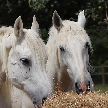 Ferme Clatot Les Trois Pierres Exterior foto