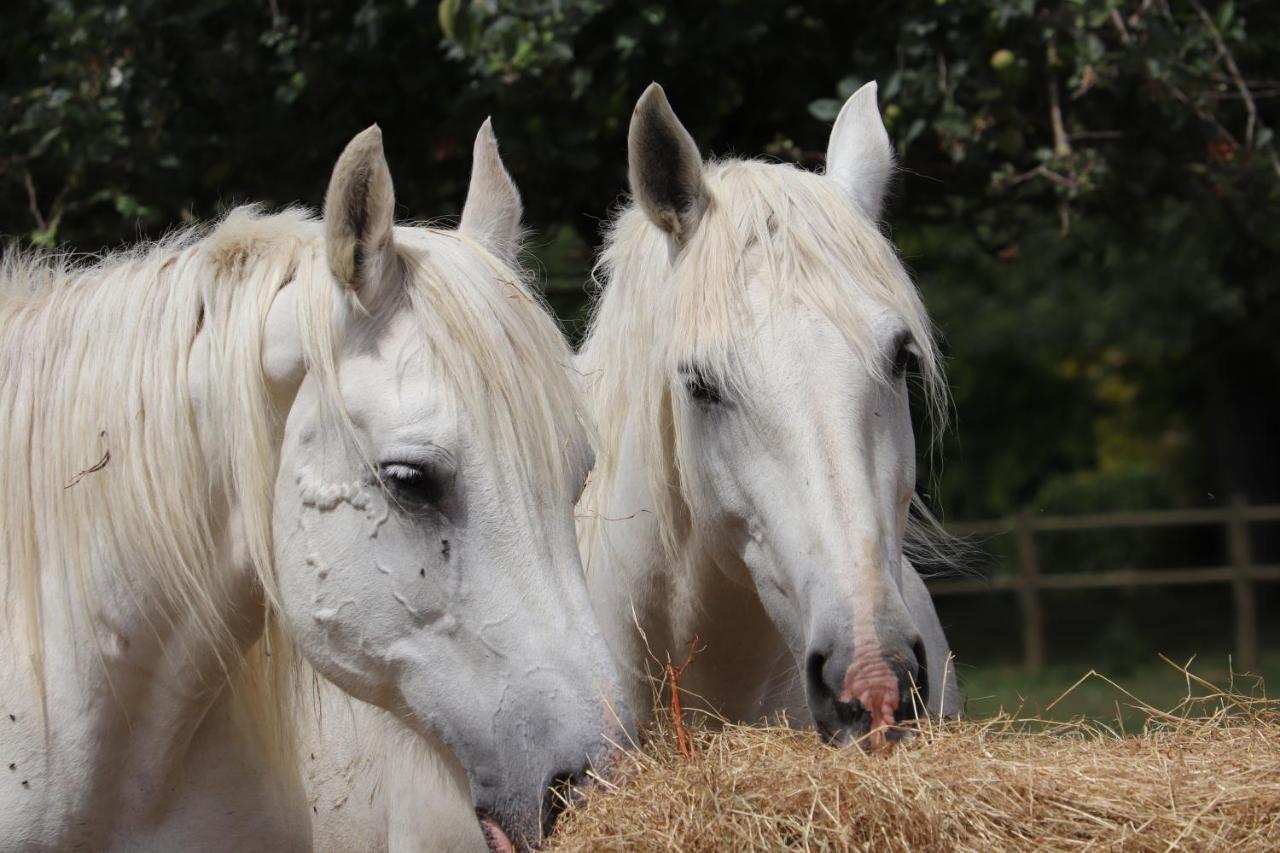 Ferme Clatot Les Trois Pierres Exterior foto
