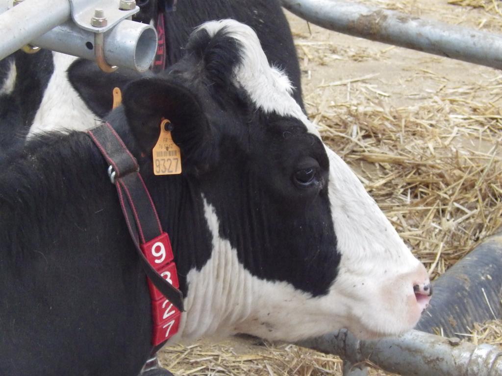 Ferme Clatot Les Trois Pierres Exterior foto