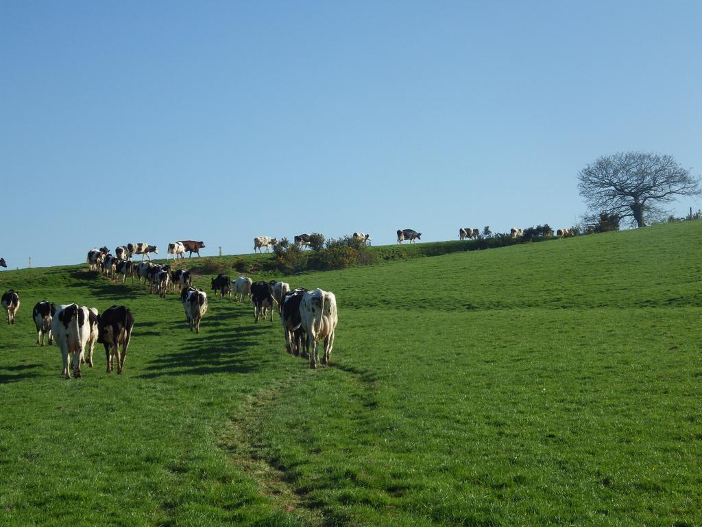 Ferme Clatot Les Trois Pierres Exterior foto